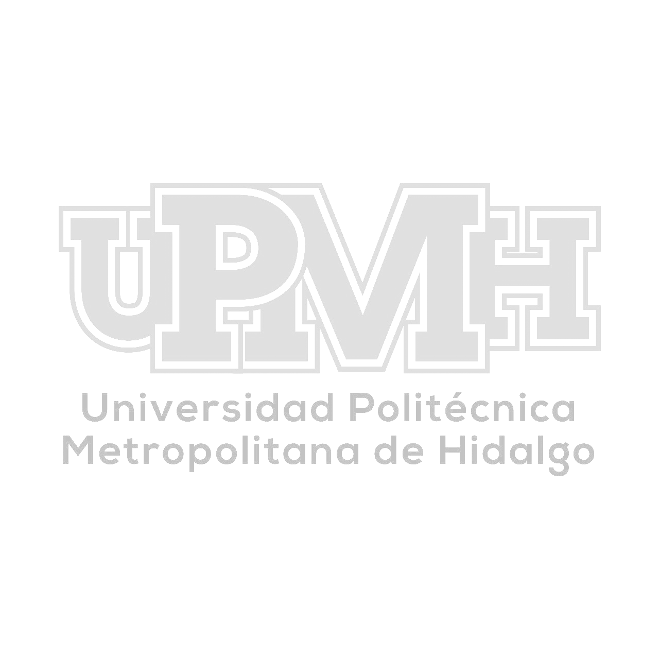 Imagen 5